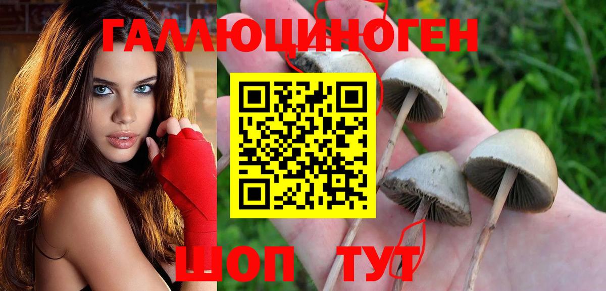 Галлюциногенные грибы мицелий  Галлюциногенные грибы Magic Shrooms  Вход с VPN  Когалым 